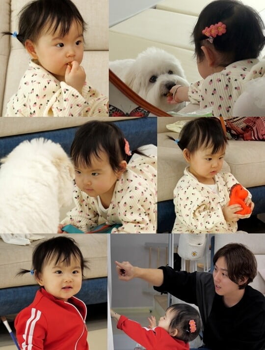 (사진=KBS 2TV)