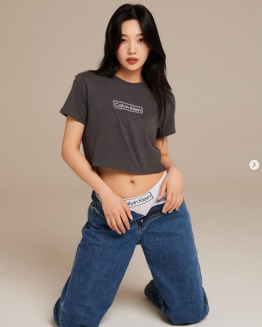 (사진=조이 SNS)