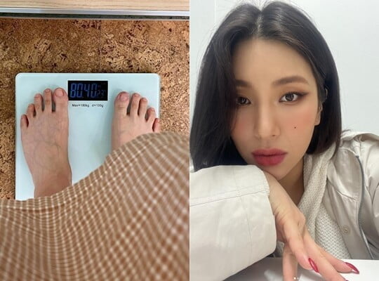 (사진=자이언트핑크 SNS)