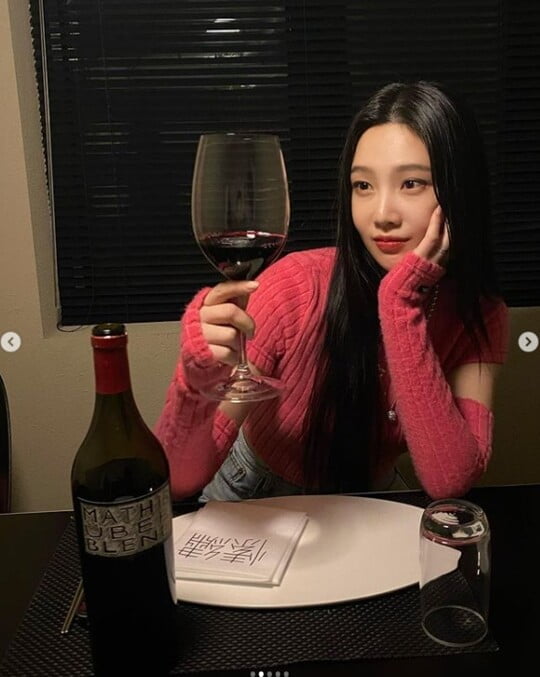 (사진=조이 SNS)