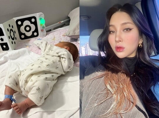 (사진=자이언트핑크 SNS)