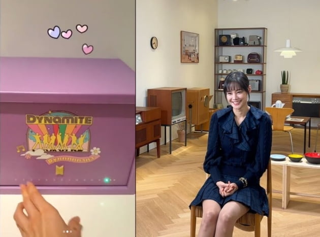 '라이머♥' 안현모,BTS 아미 찐 팬심 여기까지 있을줄...[TEN★]