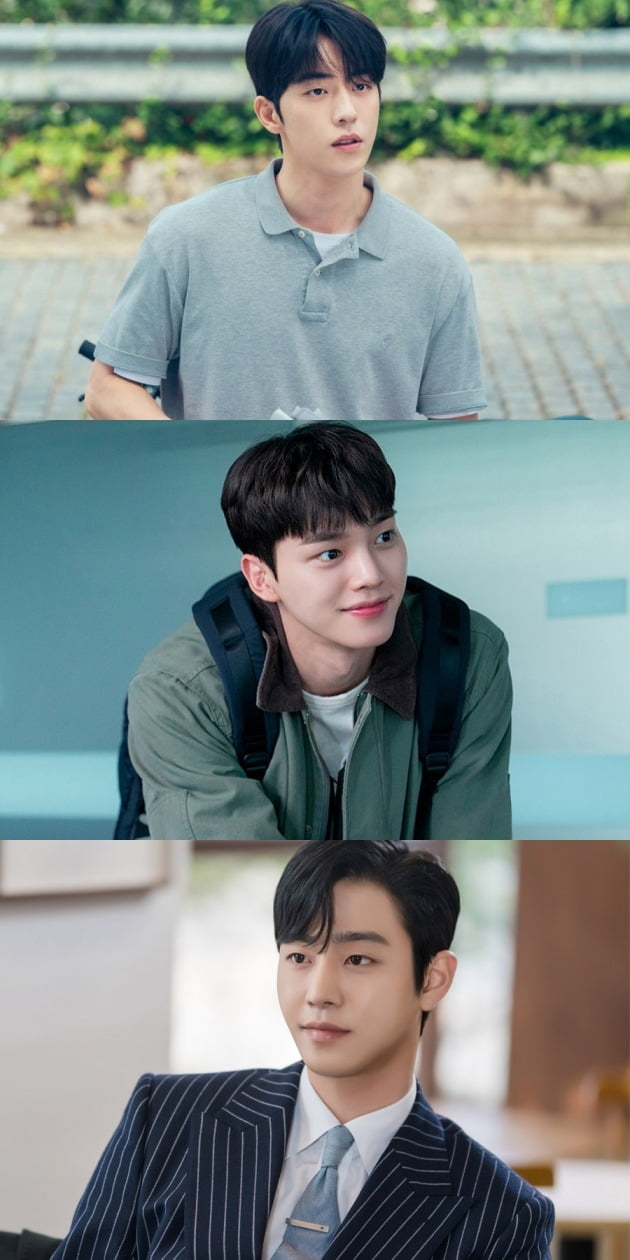 드라마 '스물다섯 스물하나', '기상청 사람들', '사내맞선' 스틸 / 사진제공=tvN, 크로스픽쳐스, 앤피오엔터테인먼트