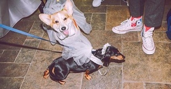 /사진=윤승아 인스타그램