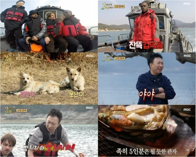 사진= MBC '안싸우면 다행이야' 방송 화면 캡처