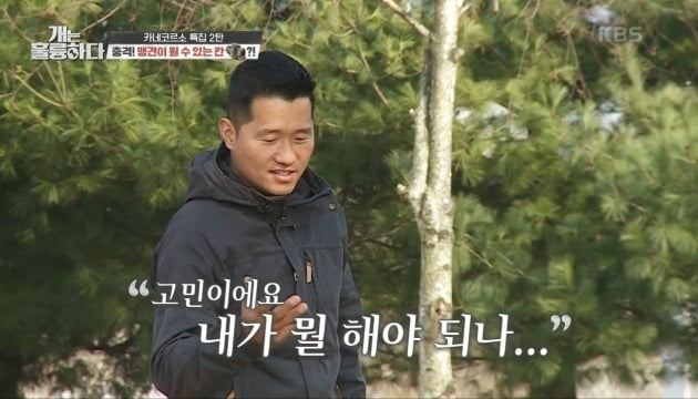 사진=KBS2 '개는 훌륭하다' 방송 화면