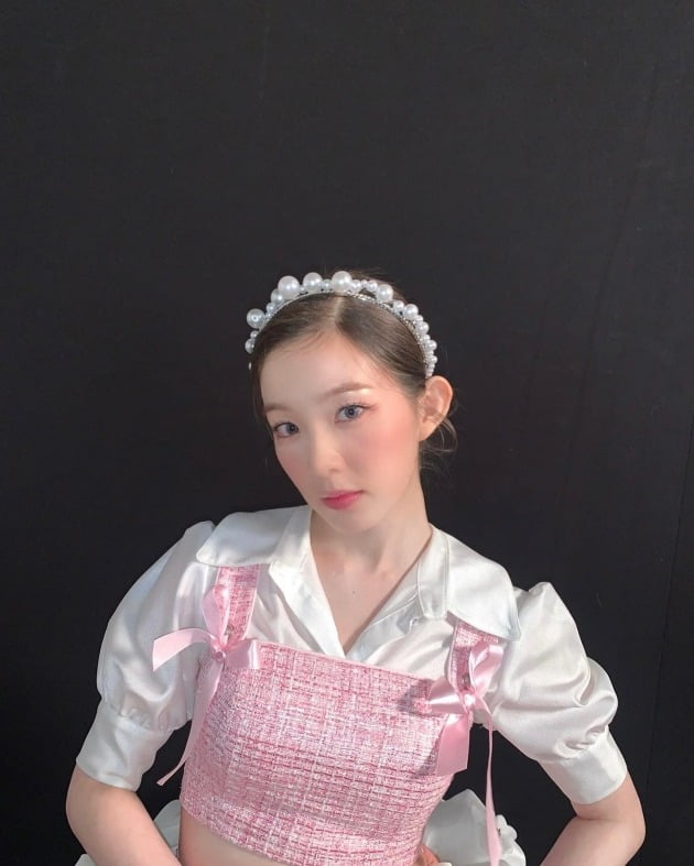 레드벨벳 아이린 / 사진=아이린 인스타그램