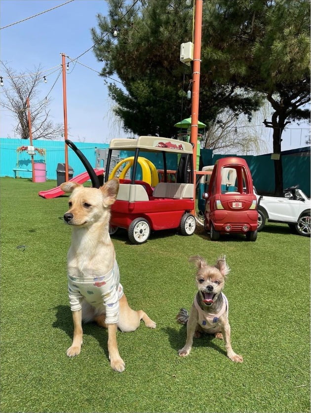 사진=김영희 인스타그램