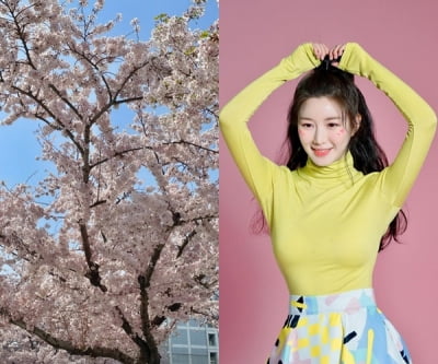 '이승기♥' 이다인, 공개 열애 티나네…사랑하니 벚꽃도 특별해 [TEN★]