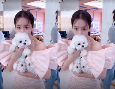 한지민, 핑크빛 공주...청순미 뿌리는 여신[TEN★]