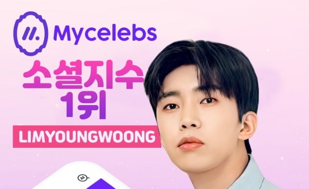 가창력 폭발·귀 호강시켜주는 히어로…임영웅, 마이 셀럽스 소셜 지수 1위