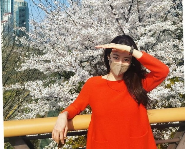 '치과의사♥' 전혜빈, 벚꽃으로 태교하는 40세 임산부 "콧노래가 절로"[TEN★]