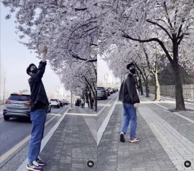 영탁, 벗꽃 보다 멋진 리듬탁...뮤직비디오 한편 찍었네[TEN★]