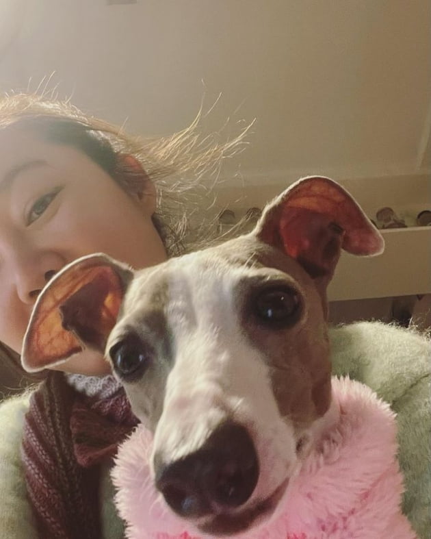 /사진=공효진 인스타그램