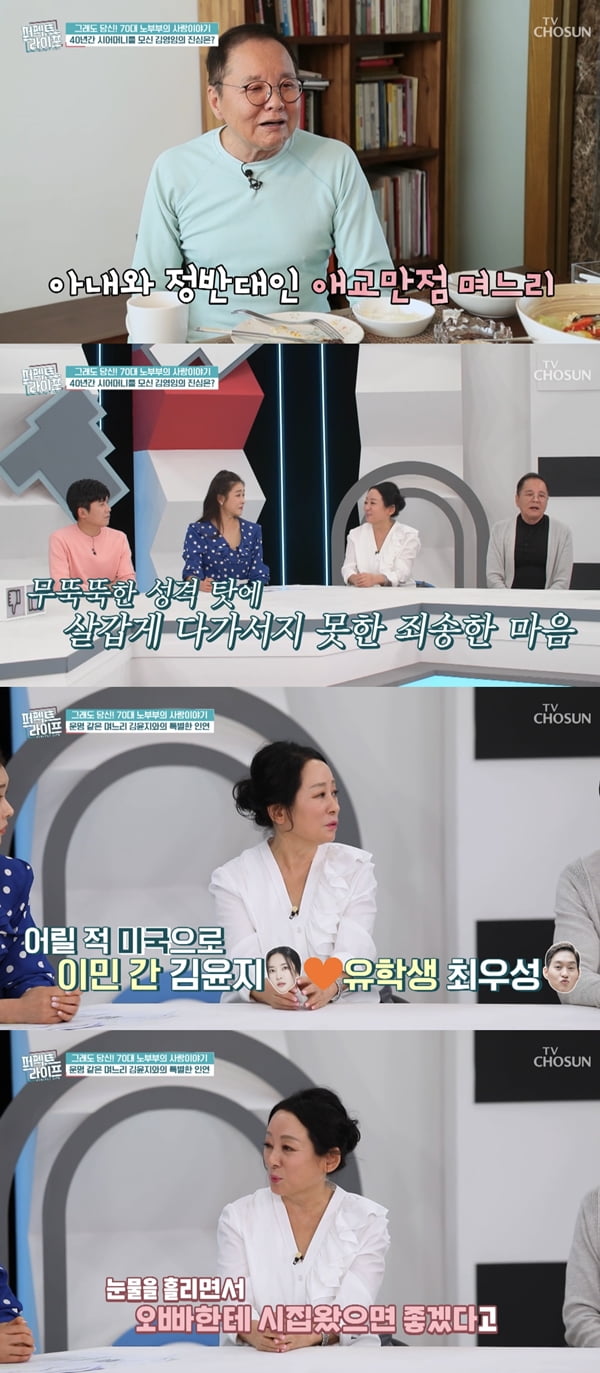 /사진=TV조선 '퍼펙트 라이프' 방송화면 캡처