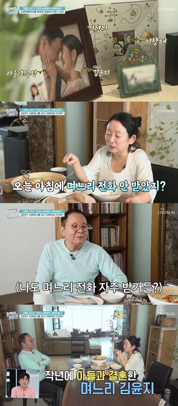 /사진=TV조선 '퍼펙트 라이프' 방송화면 캡처