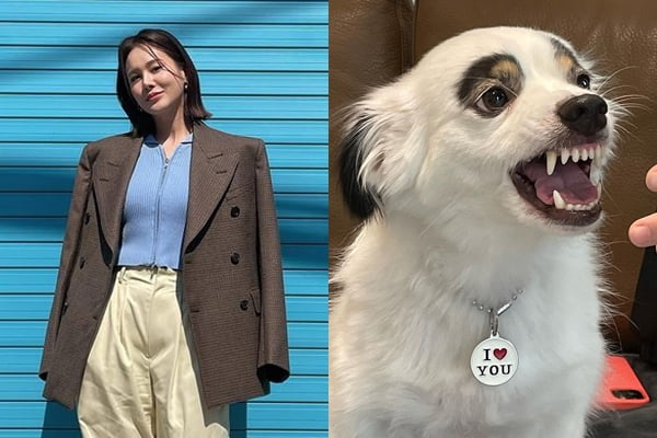 /사진=아이비 인스타그램