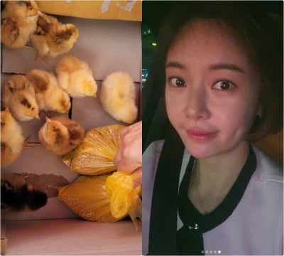 황정음, 둘째 출산 후 또 식구가 늘었네…다정한 모자지간 [TEN★]