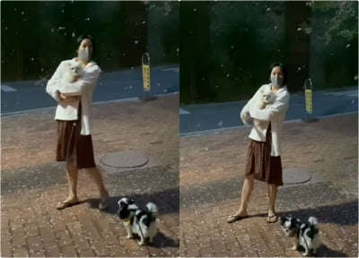 고은아, 4월에 흰 눈이 펑펑?…영화 같은 일상 [TEN★]