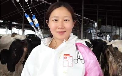 매일 만지는 女…'인공 수정 달인' 牛 엄마 일상 공개 ('눈에 띄는 그녀들')