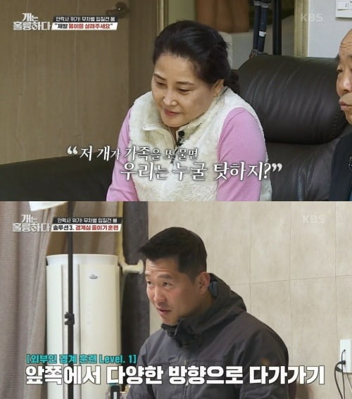 사진=KBS2 '개는 훌륭하다' 방송화면