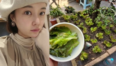 '이영돈♥' 황정음, 둘째 낳더니 건강 신경쓰네…텃밭에서 기른 "우리집 상추" [TEN★]