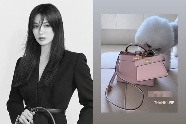 송혜교, 가방도 제일 먼저 받는 명품 F사 앰버서더…반려견도 탐내네[TEN★]