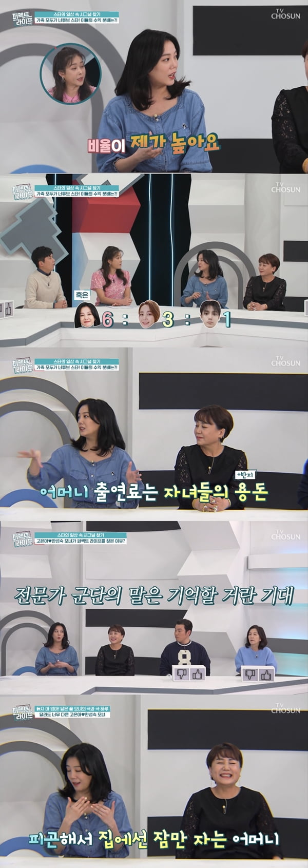 /사진=TV조선 '퍼펙트 라이프' 방송화면 캡처