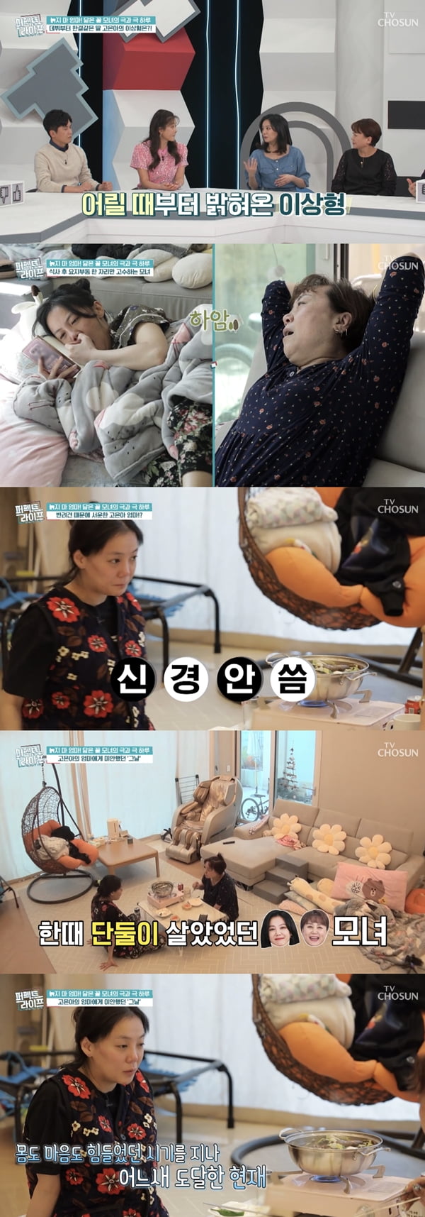 /사진=TV조선 '퍼펙트 라이프' 방송화면 캡처