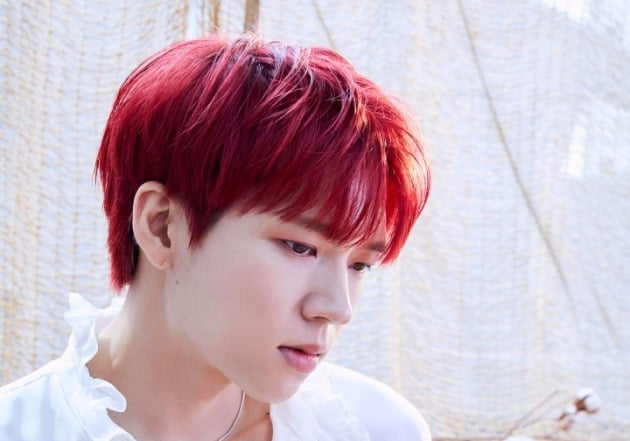 [공식] 남우현, 이성경♥김영대 '별똥별' OST 첫 주자…7년 만 참여