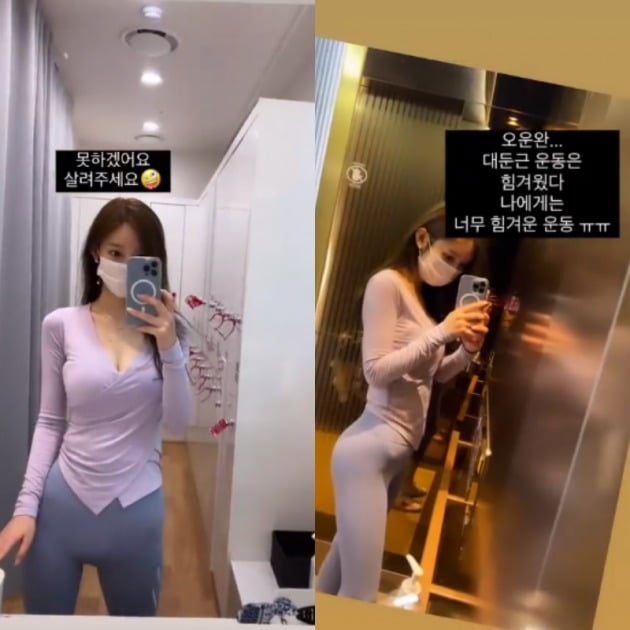사진 제공= 야옹이 인스타그램