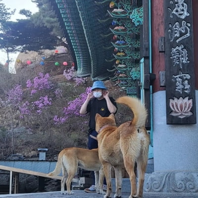 '60억 건물주' 기안84, 갑자기 공손해졌네…이시언 "늑대도 키워?"[TEN★]