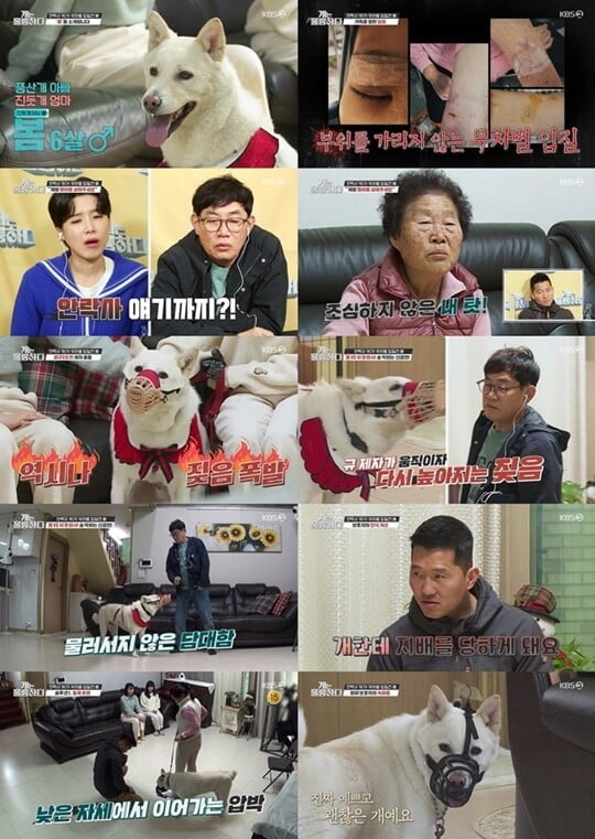 (사진=방송캡처)
