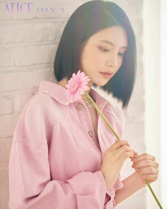 (사진=아이오케이 컴퍼니)