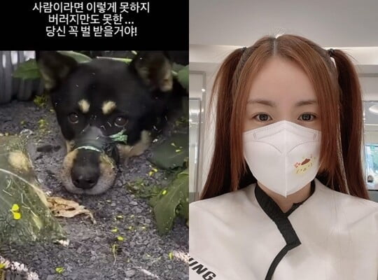 (사진=간미연 SNS)