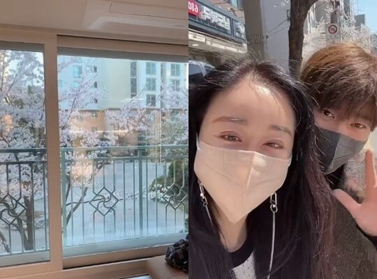 '진화♥' 함소원, 으리으리한 새집서 벚꽃 구경…여기가 벚꽃 맛집이네 [TEN★]