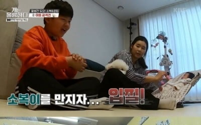 [종합]고민견, 12세 아이에게 입질…소복·로킴 등장 ('개훌륭')