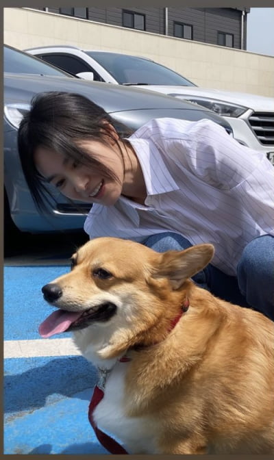 '송혜교를 외면하다니'…미인을 못 알아보는 강아지 모습에 '웃음' [TEN★]