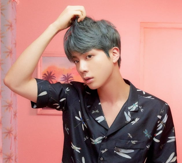 방탄소년단 진, '연예인들의 연예인'... 국내외 매체 집중 조명
