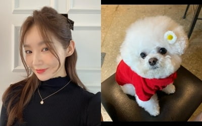다비치 강민경, 반려견 꽃지 향한 '무한 애정'…"내 사랑 꽃지" [TEN★]