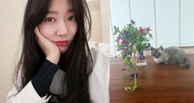 '최태준♥' 박신혜, 반려묘와 여유로운 태교중...우리집 최고 애교쟁이는?[TEN★]