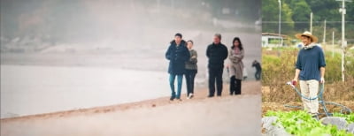 손석구, '나의 해방일지' 앓이중..."잠이 안 오네...최고였다!"[TEN★]