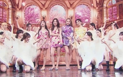 브레이브걸스, 공연 중단→불명예 하차? "제자리에 돌아가야죠" ('퀸덤2')