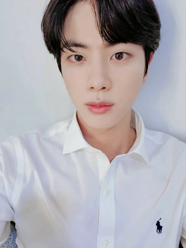 방탄소년단 진, ‘폴로 랄프로렌’ 광고에 잘어울리는 세련미있는 스타로 익디투표 1위