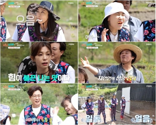 사진=MBN '아나프리해' 방송 화면 캡처