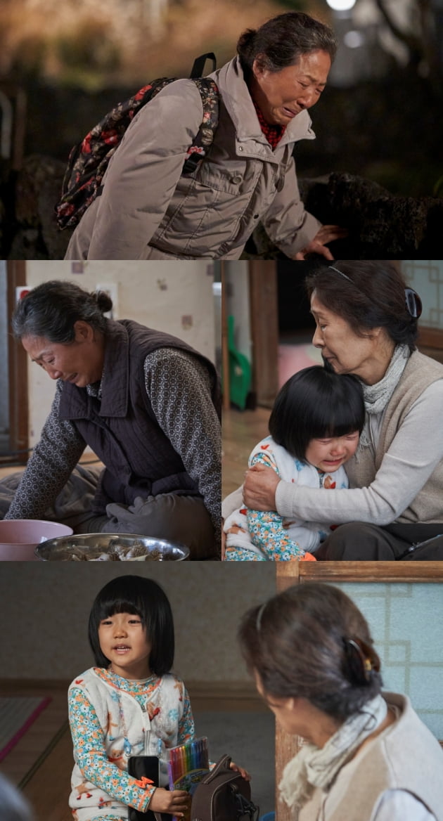 '우리들의 블루스' 고두심/사진 제공=tvN