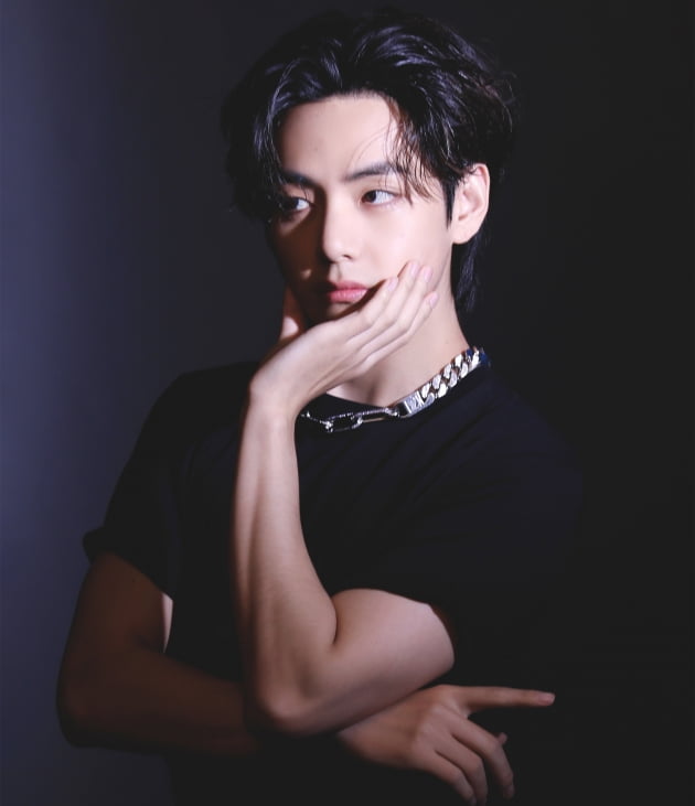 방탄소년단 뷔, 'Christmas Tree' 샤잠 글로벌 160일 연속 차트인..솔로 아티스트 최고기록...'OST 킹'