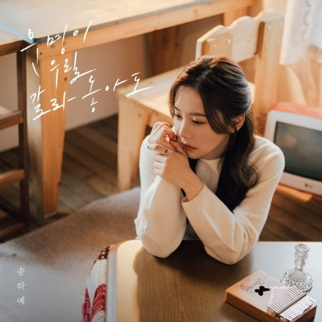 사진 제공= 정호뮤직