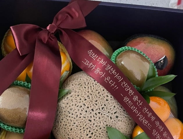 '사업가♥' 정선아, 출산 한 달 만 복귀? "나 아직 못 돌아가는데…"[TEN★]