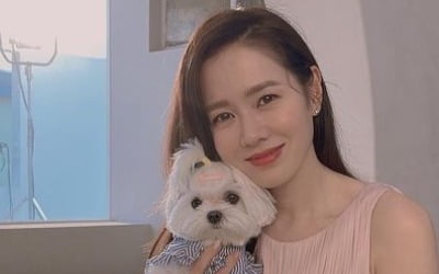 '현빈♥' 손예진 신혼 근황 "꽃길만 걸을게요"…누가 보낸 선물이길래 [TEN★]